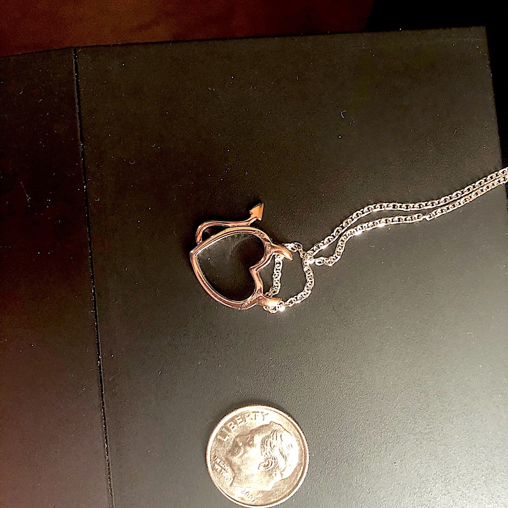 Bnwot womens silver necklace.